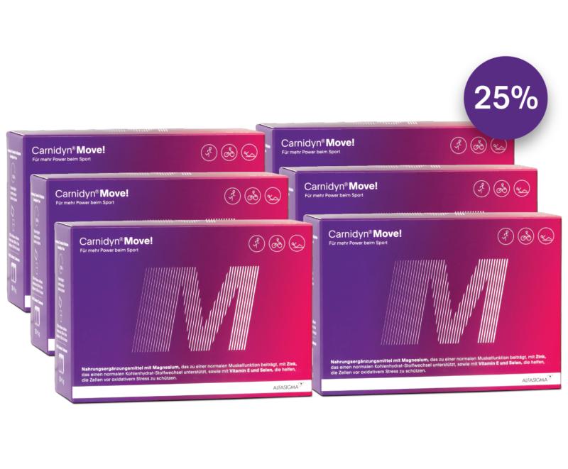 234 012306 Carnidyn e Shop Move2